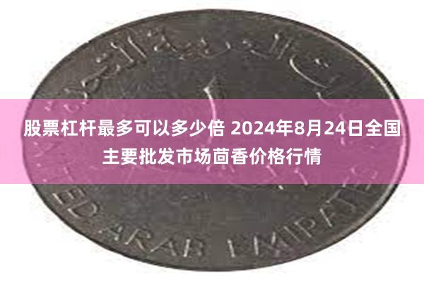 股票杠杆最多可以多少倍 2024年8月24日全国主要批发市场茴香价格行情