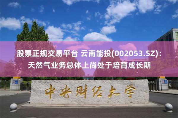 股票正规交易平台 云南能投(002053.SZ)：天然气业务总体上尚处于培育成长期