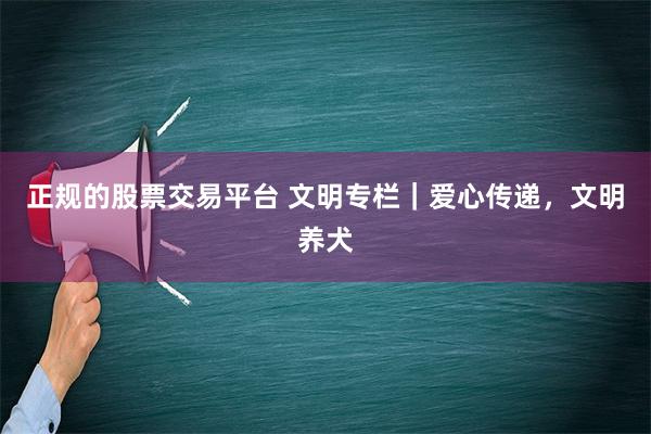 正规的股票交易平台 文明专栏｜爱心传递，文明养犬