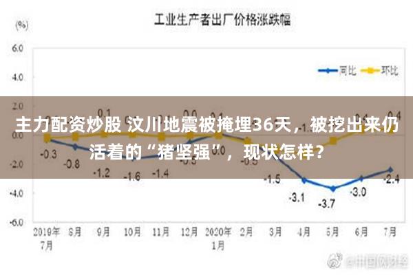 主力配资炒股 汶川地震被掩埋36天，被挖出来仍活着的“猪坚强”，现状怎样？