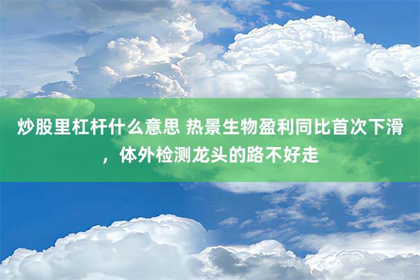 炒股里杠杆什么意思 热景生物盈利同比首次下滑，体外检测龙头的路不好走